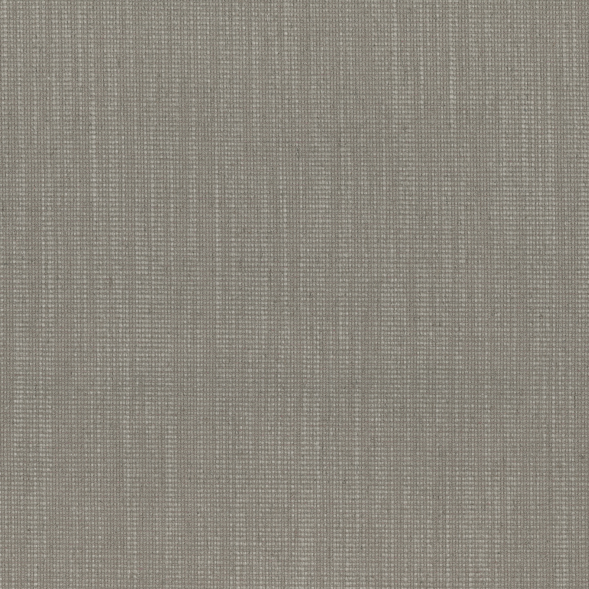 TATAMI 01